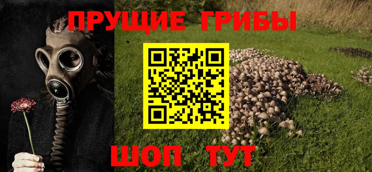 Псилоцибиновые грибы GOLDEN TEACHER Азов