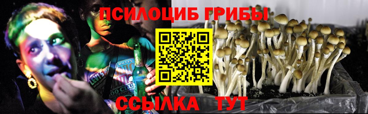 Псилоцибиновые грибы Magic Shrooms  Вход с VPN  Псилоцибиновые грибы прущие грибы  Азов 